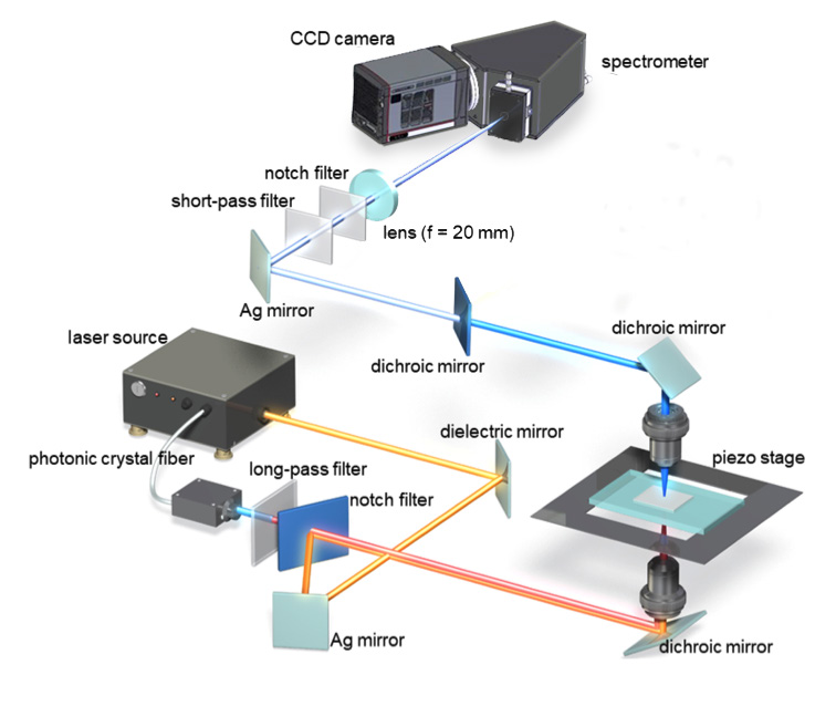 Ultra-Multiplex CARS Spectroscopic-images-2.png