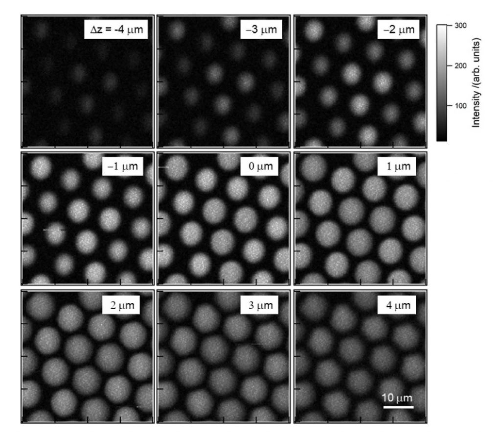 Ultra-Multiplex CARS Spectroscopic-images-3.png