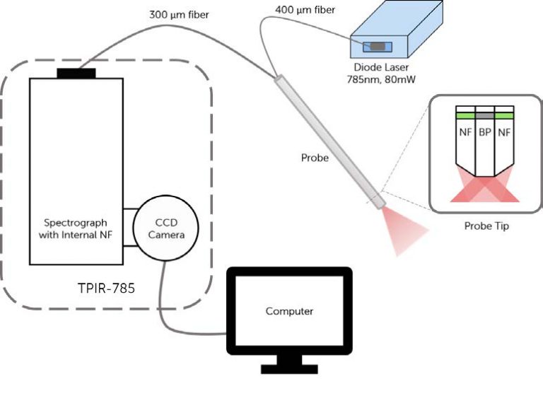 AppNote_Raman-Spectroscopy-to-Detect-Malignant-Changes-1-768x560.jpg