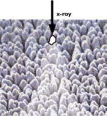 Utilizing Phosphors for Indirect Detection of X-rays_image_1.png