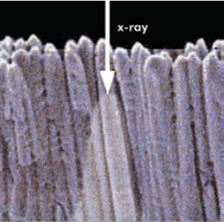 Utilizing Phosphors for Indirect Detection of X-rays_image_2.png