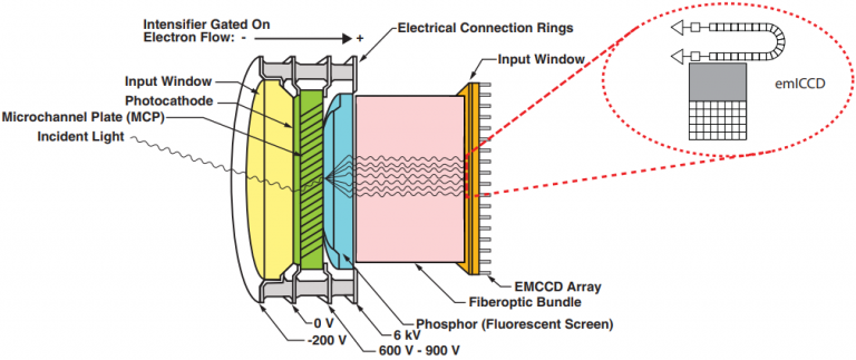 emiccdfigure-2-768x323.png