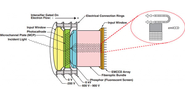 article primary image