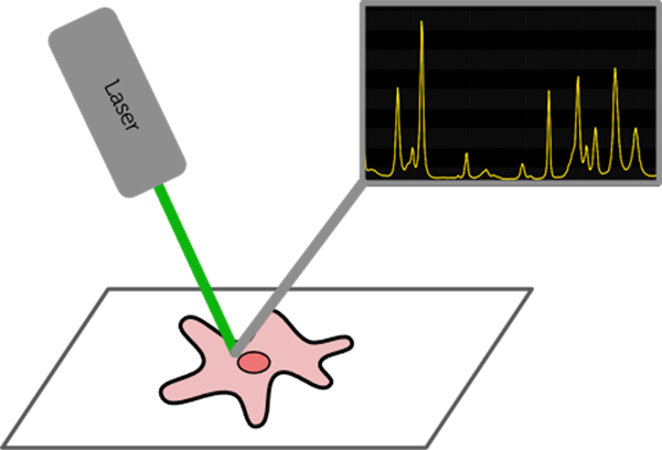 Microspectroscopy.png