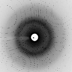 X-Ray-Crystallography.jpg